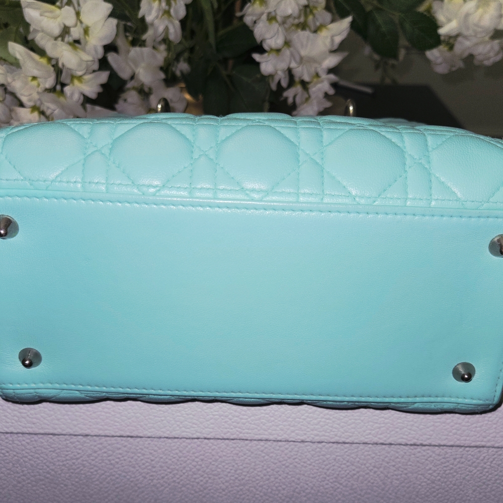 Christian Dior Mint Green Leather Spotted Python Medium Lady Dior Bag - Picture 3 of 10